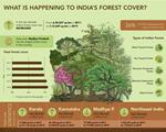 What is happening to India’s forest cover?
