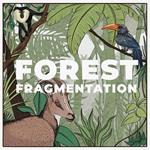What is Forest Fragmentation? 