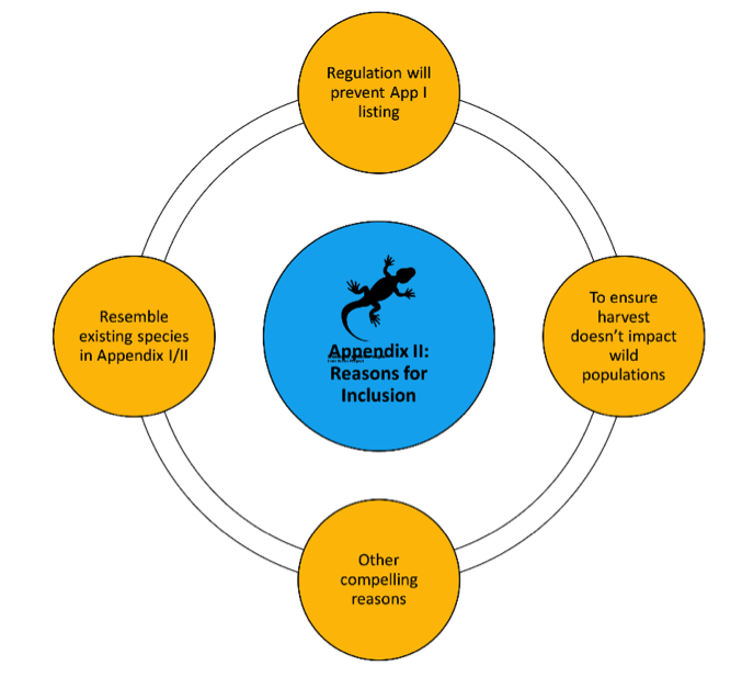 Demystifying CITES Appendices Wildlife Conservation Society India Demystifying cites appendices wildlife conservation society india
